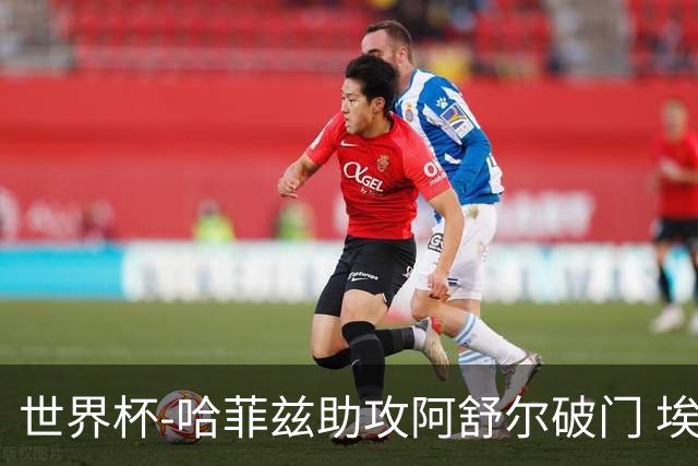 世界杯-哈菲兹助攻阿舒尔破门 埃及半场暂1-0澳大利亚