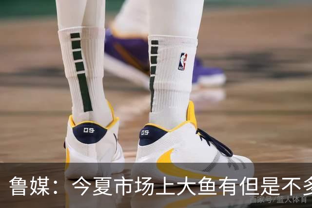 鲁媒：今夏市场上大鱼有但是不多 听说有南方球队会放出几个队员