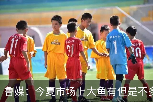 鲁媒：今夏市场上大鱼有但是不多 听说有南方球队会放出几个队员